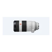 GM Obj.(E-Mount), 100-400mm F4.5-5.6 OSS