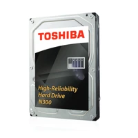 N300, 4TB, intern, 3,5" (8,9cm)
