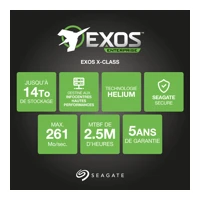 Exos X14 ST12000NM0008, 12TB -