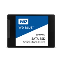 Blue PC SSD WDBNCE5000PNC, 500GB, intern -