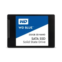 Blue 3D NAND SATA SSD WDS250G2B0A -