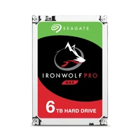 IronWolf Pro ST6000NE0023, 6TB -