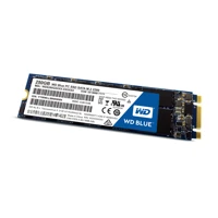 Blue PC SSD WDS250G1B0B, 250