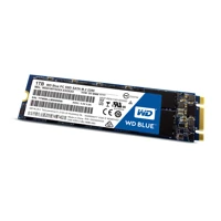 Blue PC SSD 1TB