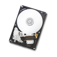 HGST Deskstar NAS 8TB, SATA 6Gb/s H3IKNA