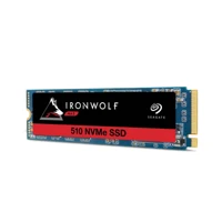 IronWolf 510 ZP480NM30011, SSD, 480GB, intern