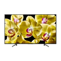Bravia KD-65XG8096, 164cm (65") Diagonalklasse