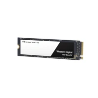 Black NVMe SSD WDS100T2X0C, 1TB, intern -