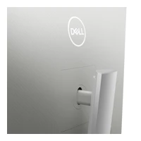 S3221QS, LED-Monitor, gebogen, 81,3cm (32")
