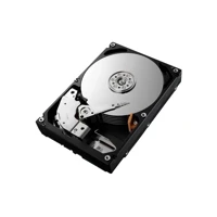 N300 NAS, 8TB, intern, 3,5" (8.9