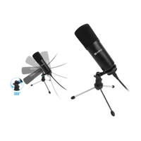 Streamer USB Desk Microphone