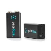 Wiederaufladbare Batterie 9 Volt USB 2er