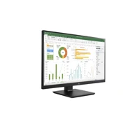 24BN65YP-B, LED-Monitor, 60cm (24") (23,8"