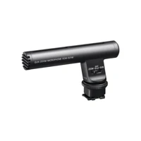 ECM-GZ1M, Mikrofon, Zoom, Schwarz -