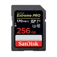 Extreme Pro, Flash-Speicherkarte, 256GB, Video