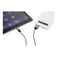 Lightning/USB Adapterkabel 0.3m grau