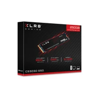XLR8 CS3030, SSD, 250GB, intern, M.2 -