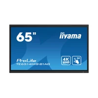 PROLITE TE6514MIS-B1AG, 65", Android 13, Touch