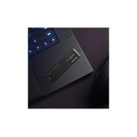 Black SN770 WDBBDL0020BNC, SSD, 2TB, intern -
