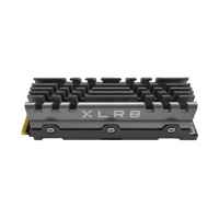 XLR8 CS3140, SSD, 1TB, intern, M.2 -
