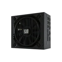 Platinum Series LC550 V2.31, Netzteil (intern) -