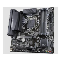 Z490M, 1.0, Motherboard, micro ATX -