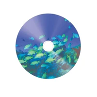 Azo CD-R 80min/700MB 52x, 50er Spindel p