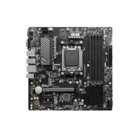 PRO B650M-P, Micro-ATX, DDR5