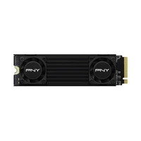CS3150, 1TB SSD, M.2, NVMe