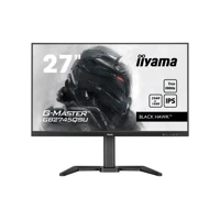 27iW LCD WQHD Business/Gaming IPS 100Hz - Flachbild