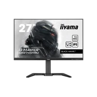 27iW LCD Full HD Business/Gaming IPS 100Hz - Flachb