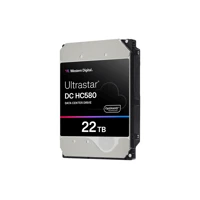 WD Ultrastar DC HC580 WUH722424AL5201 - Festplatte - R
