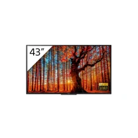 FWD-43W66G/T 43" Direct Led Display mit TV-Tuner