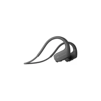 WALKMAN(DMP)