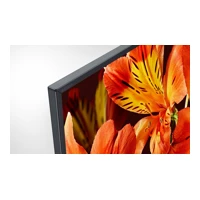 FWD-65BZ35F 65" Edge Led Display mit TV-Tuner