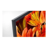 Bravia Professional Displays FW-85BZ35F, 216cm