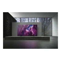 FWD-55X95H/T 55" Led Display mit TV-Tuner,4K HDR