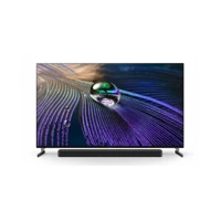 FWD-55A90J 55" OLED Display mit TV-Tuner,4K HDR
