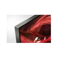FWD-75X95J 75" Led Display mit TV-Tuner,4K HDR,IP