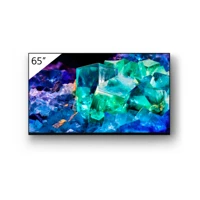 FWD-65A95K 65" OLED Display mit TV-Tuner,4K HDR,IP