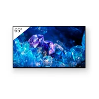 FWD-65A80K 65" OLED Display mit TV-Tuner,4K HDR