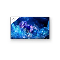 FWD-55A80K 55" OLED Display mit TV-Tuner,4K HDR