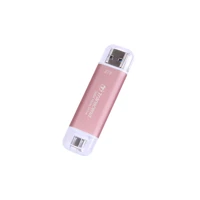 ESD310P - SSD - 2 TB - extern (tragbar) - USB 3.2 G