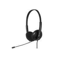 USB-C Office Headset