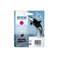 Tinte C13T76034N10 magenta