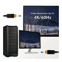 DisplayPort-Kabel - DisplayPort (M) eingerastet zu