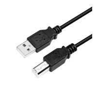 USB-Kabel - USB (M) zu USB Typ B (M) - USB 2.0 - 3