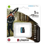 Canvas Go! Plus - Flash-Speicherkarte - 1 TB - A2 /