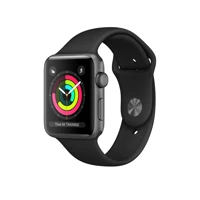Watch Series 3 (GPS), 42mm, grau