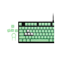 PBT DOUBLE-SHOT PRO, Tastenkappen-Satz, Minzgrün